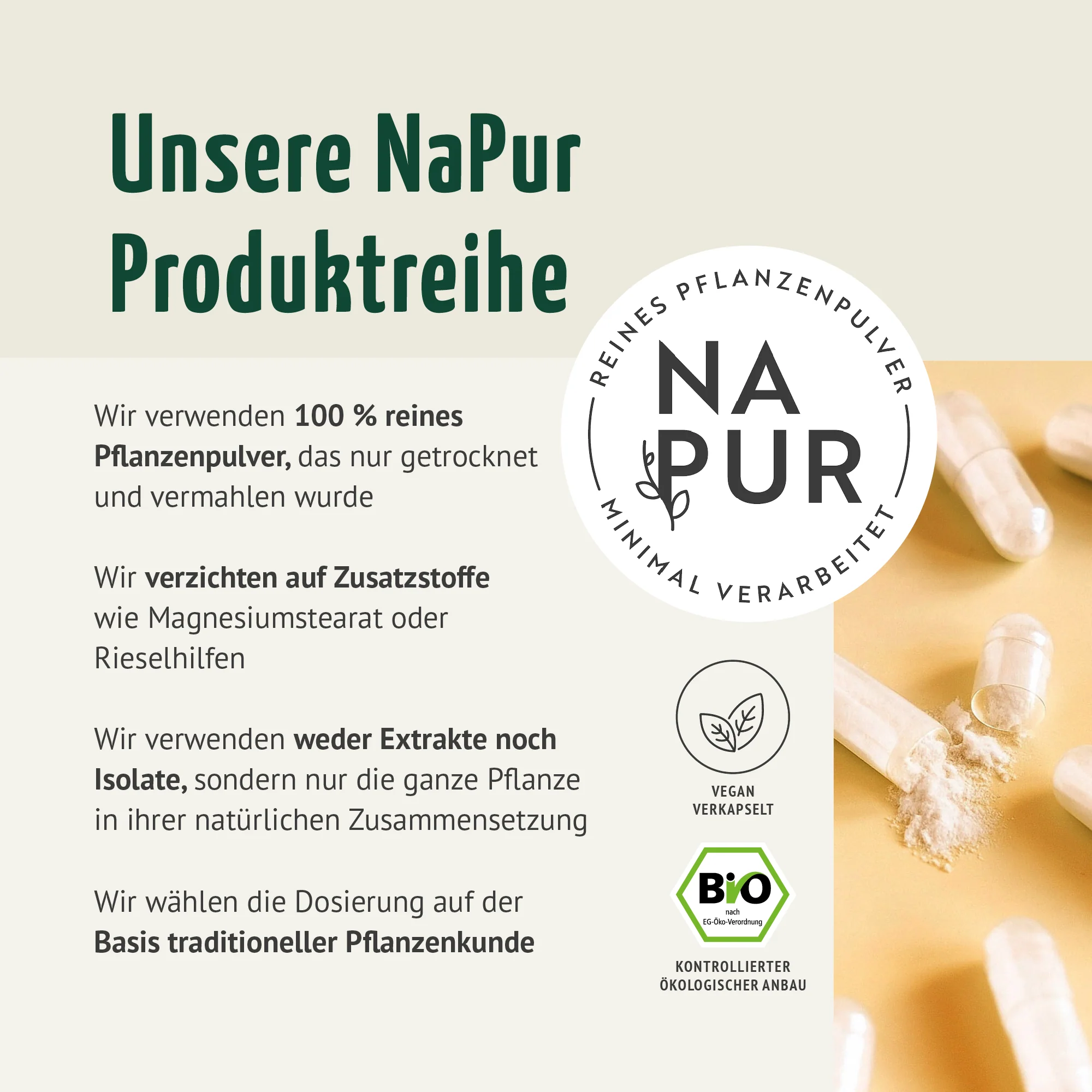 Bio Ashwagandha Kapseln Nachfüllpack (400 Kapseln) - Image 2