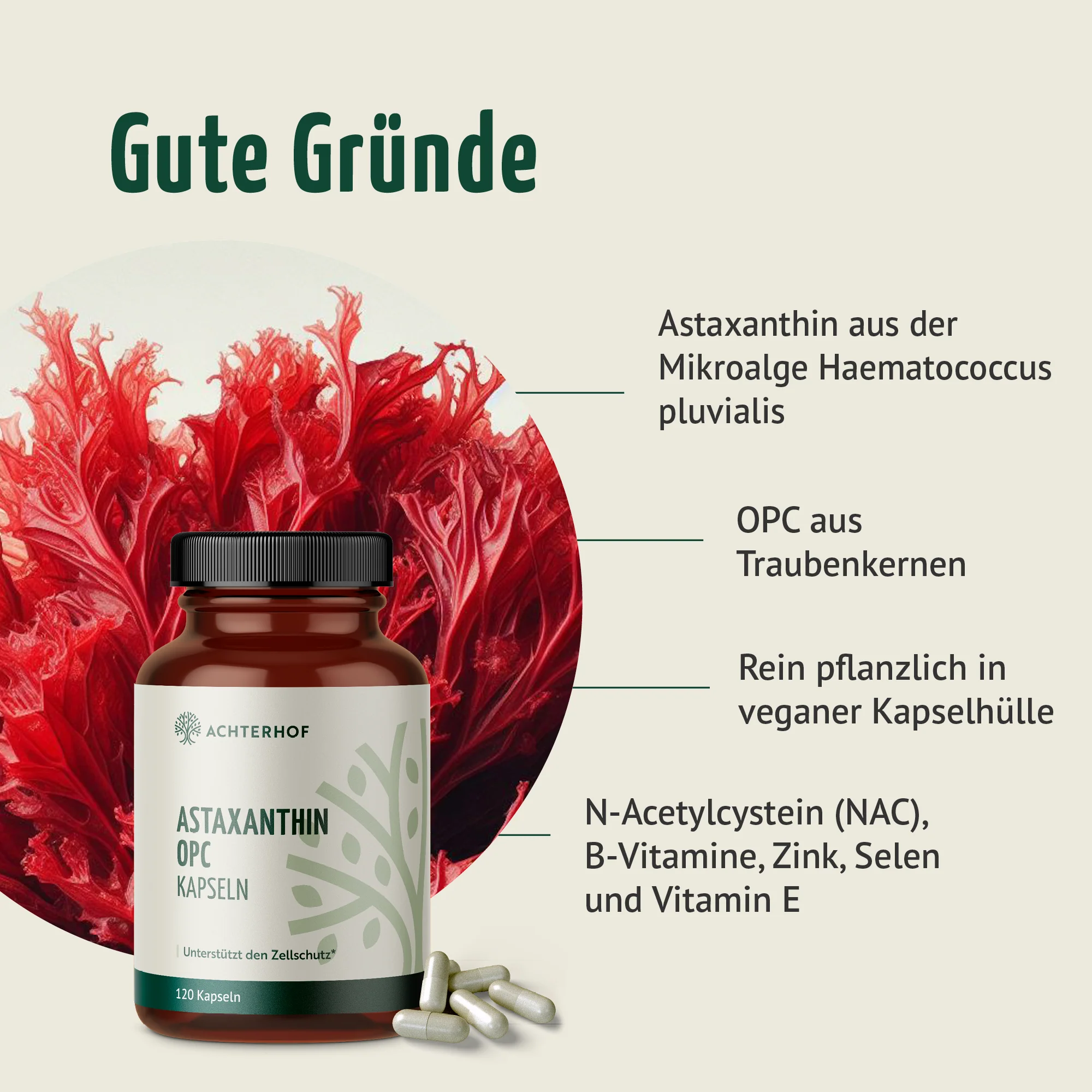 Astaxanthin OPC Zellschutz Kapseln (120 Kapseln) - Image 2