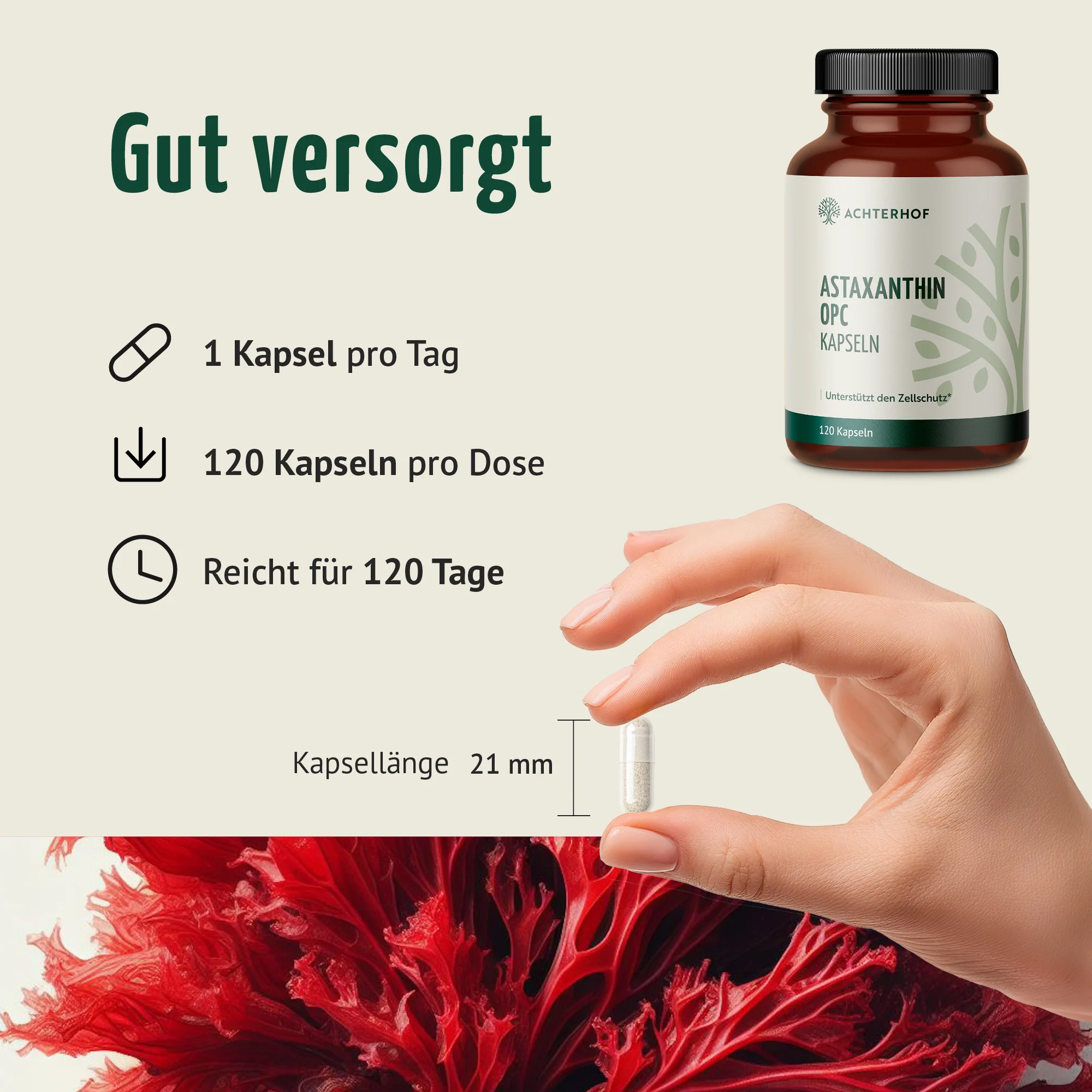 Astaxanthin OPC Zellschutz Kapseln (120 Kapseln) - Image 4