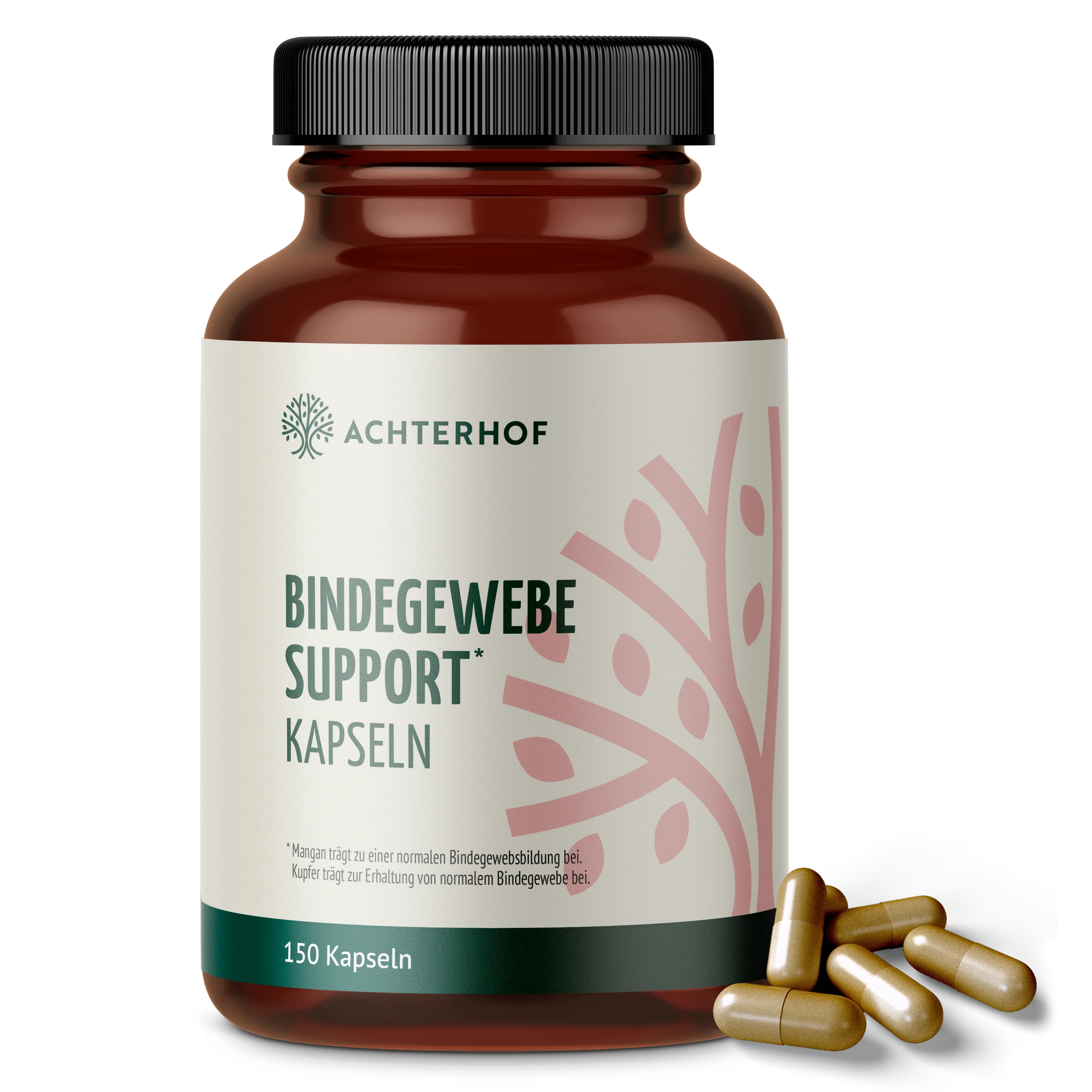 Bindegewebe Support Kapseln (150 Kapseln)