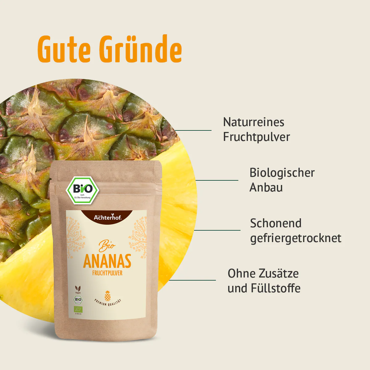Bio Ananas Fruchtpulver (100g) - Image 5