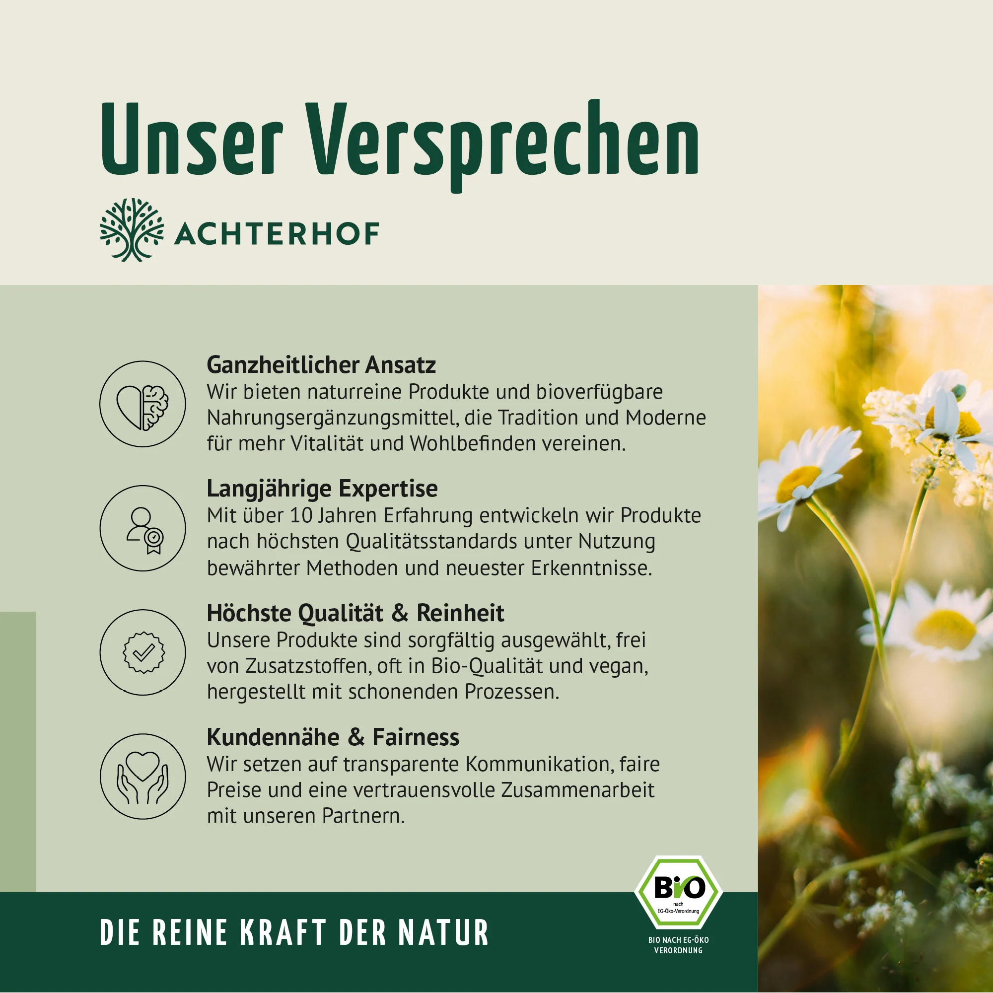 Bio Bitter Kräutermischung gemahlen (250g) - Image 7