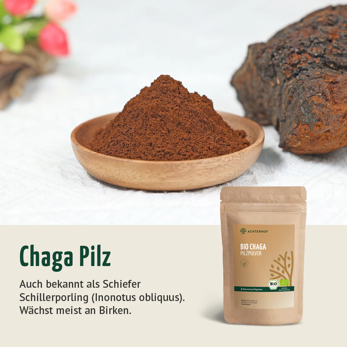 Bio Chaga Pilzpulver (250g) - Image 4