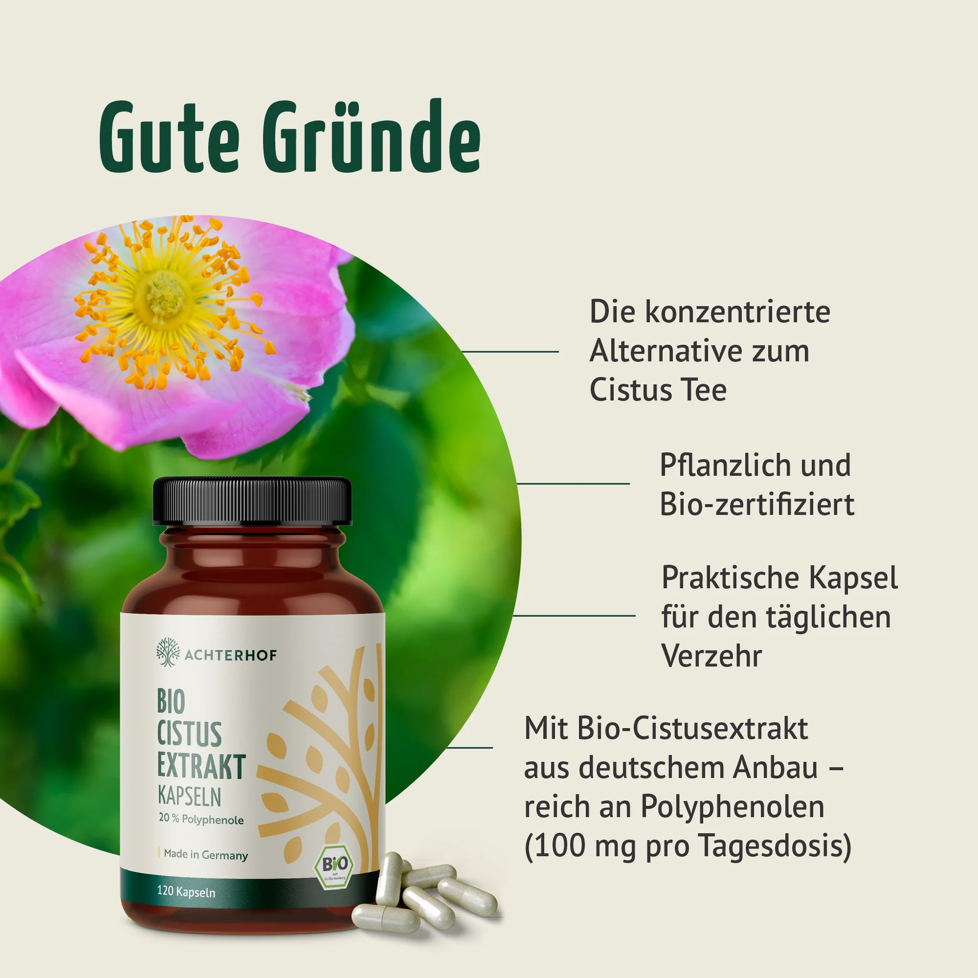 Bio Cistus Extrakt Kapseln (120 Kapseln) - Image 2