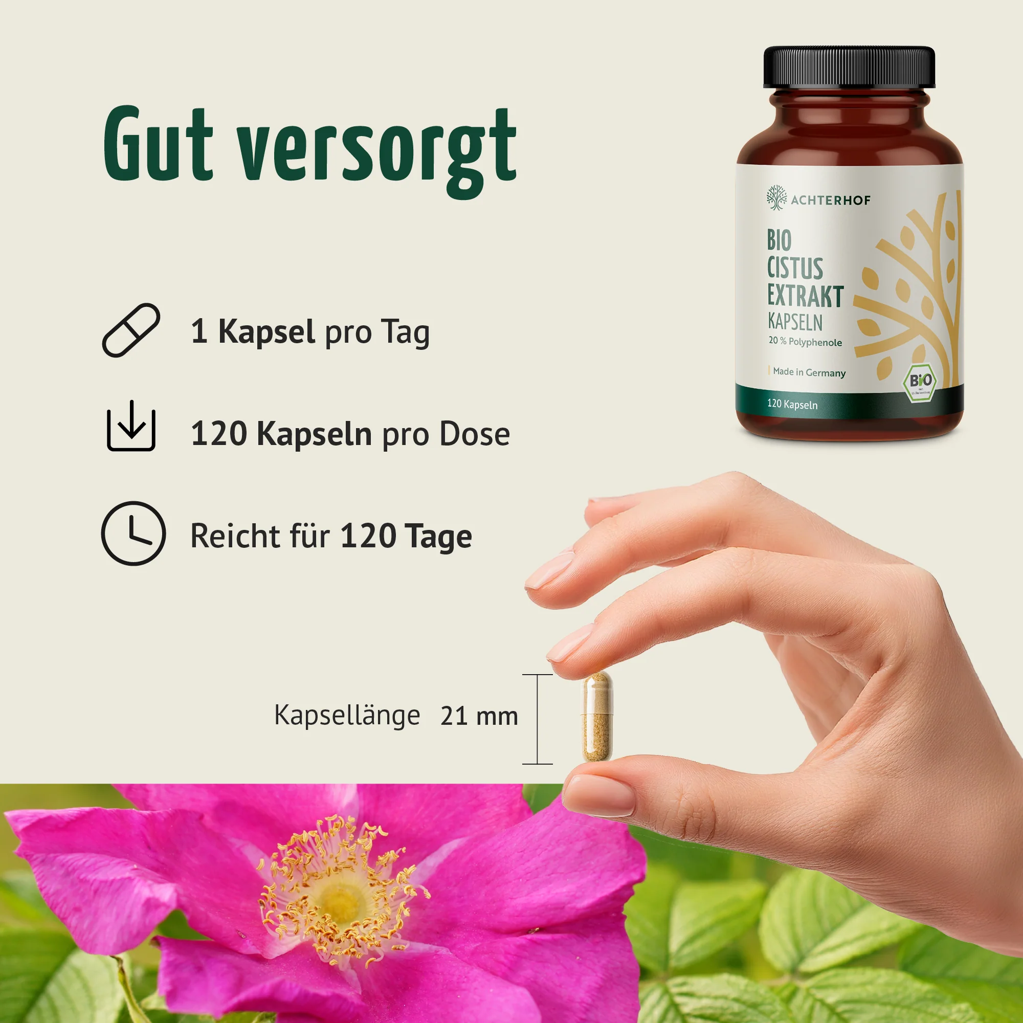 Bio Cistus Extrakt Kapseln (120 Kapseln) - Image 4