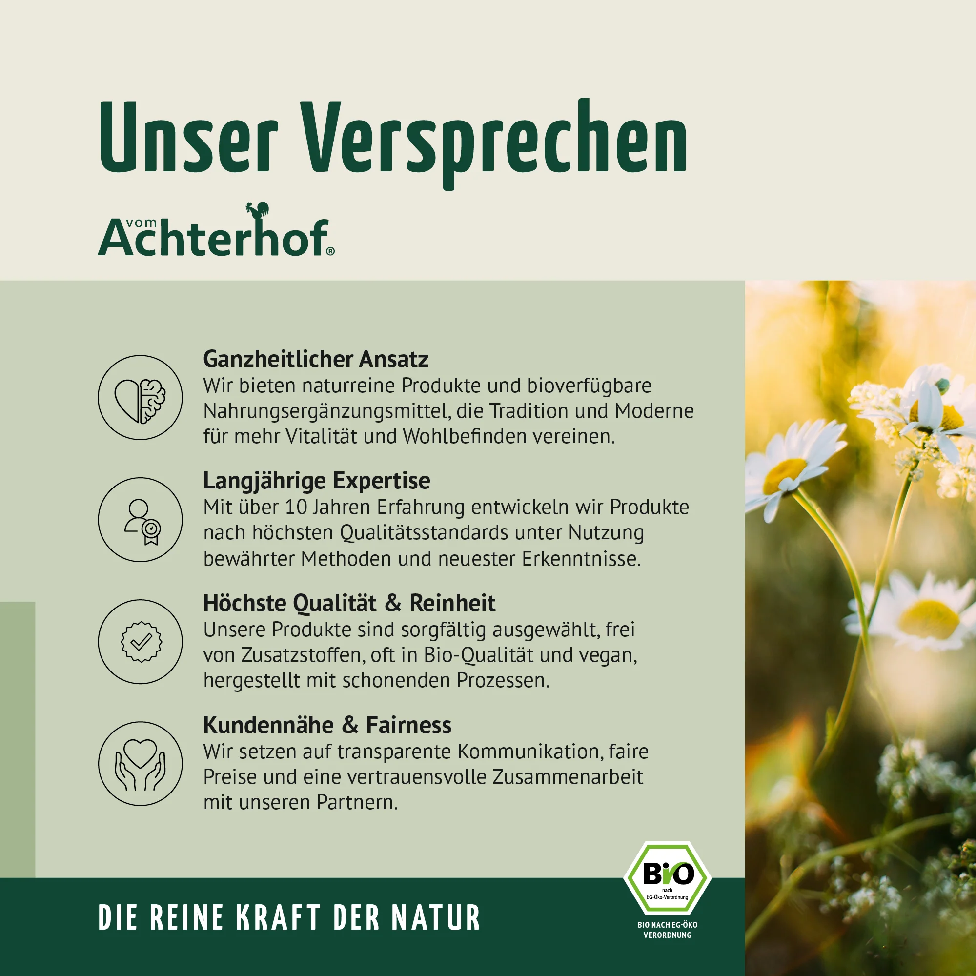 Bio Dattel Pulver (500g) - Image 8