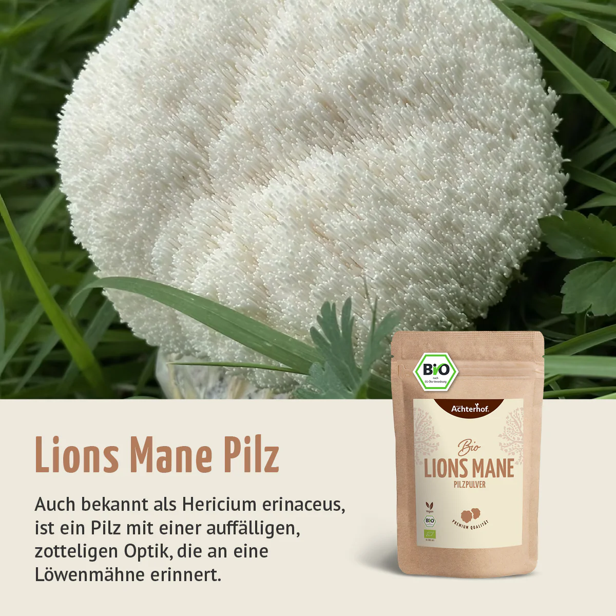 Bio Lions Mane Pilzpulver (250g) - Image 4