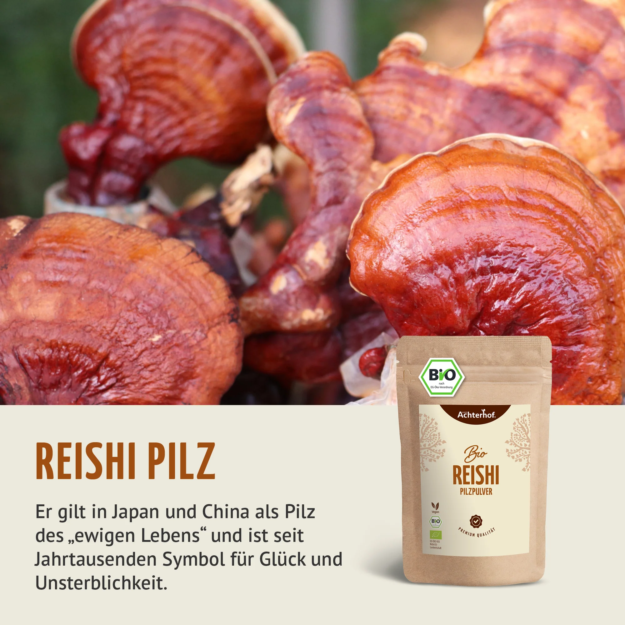 Bio Reishi Pilzpulver (100g) - Image 4