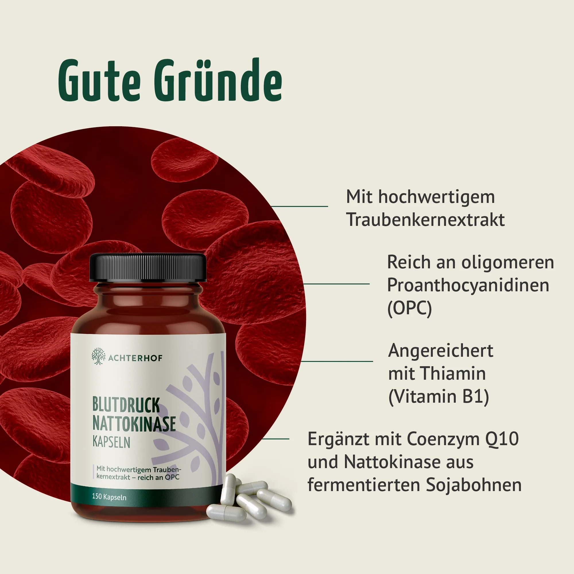 Blutdruck Nattokinase Kapseln (150 Kapseln) - Image 2