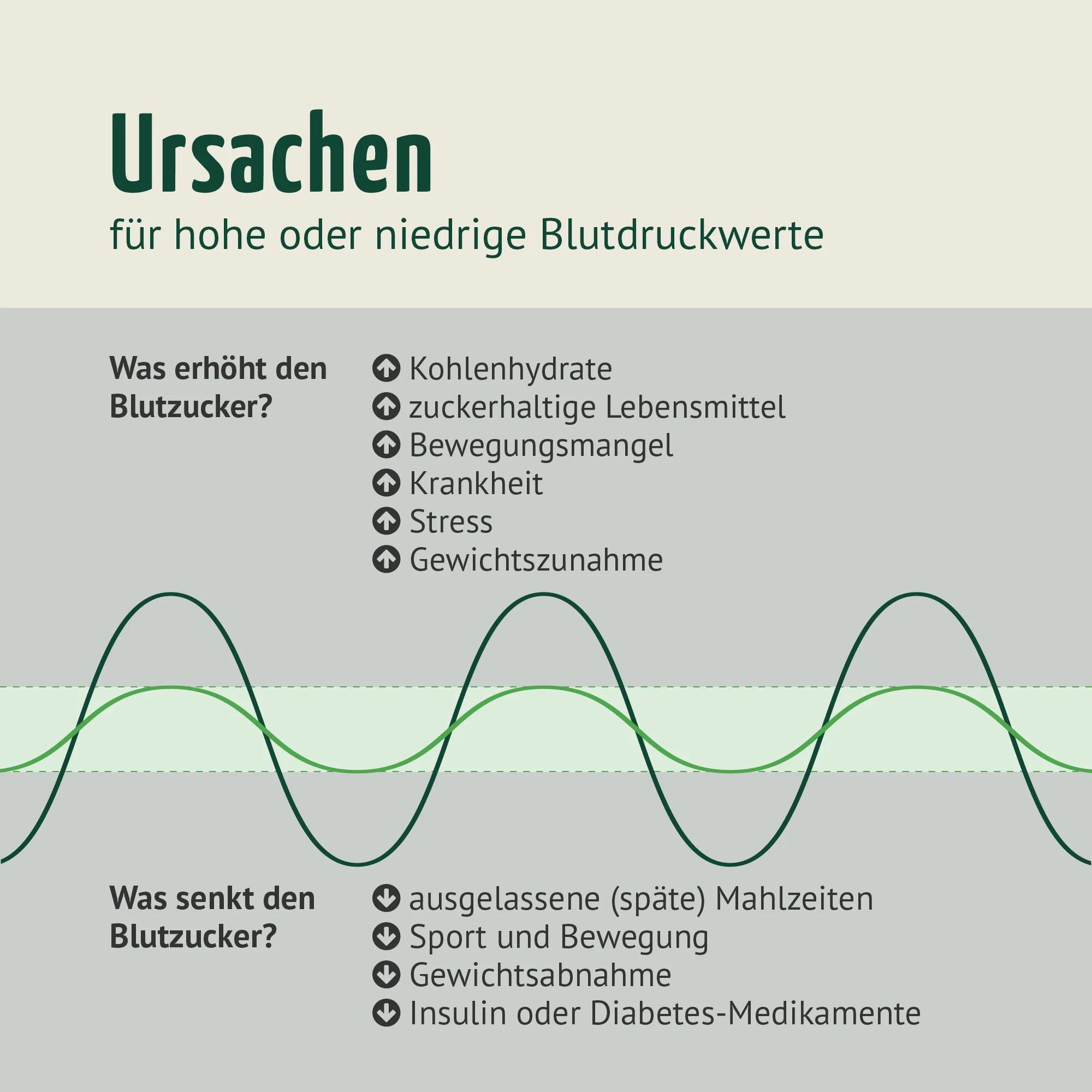 Blutzucker Komplex (120 Kapseln) - Image 5