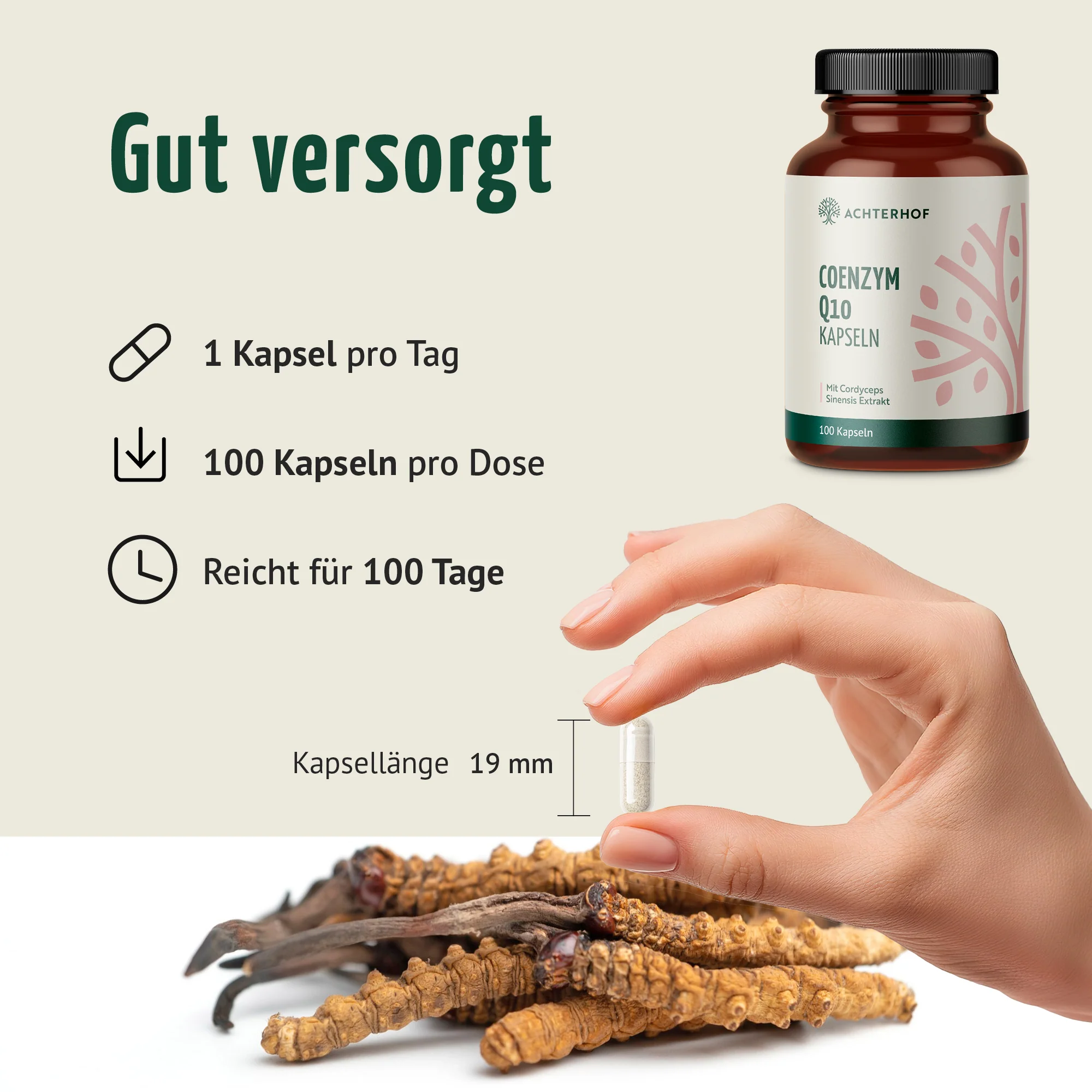 Coenzym Q10 Cordyceps (100 Kapseln) - Image 4