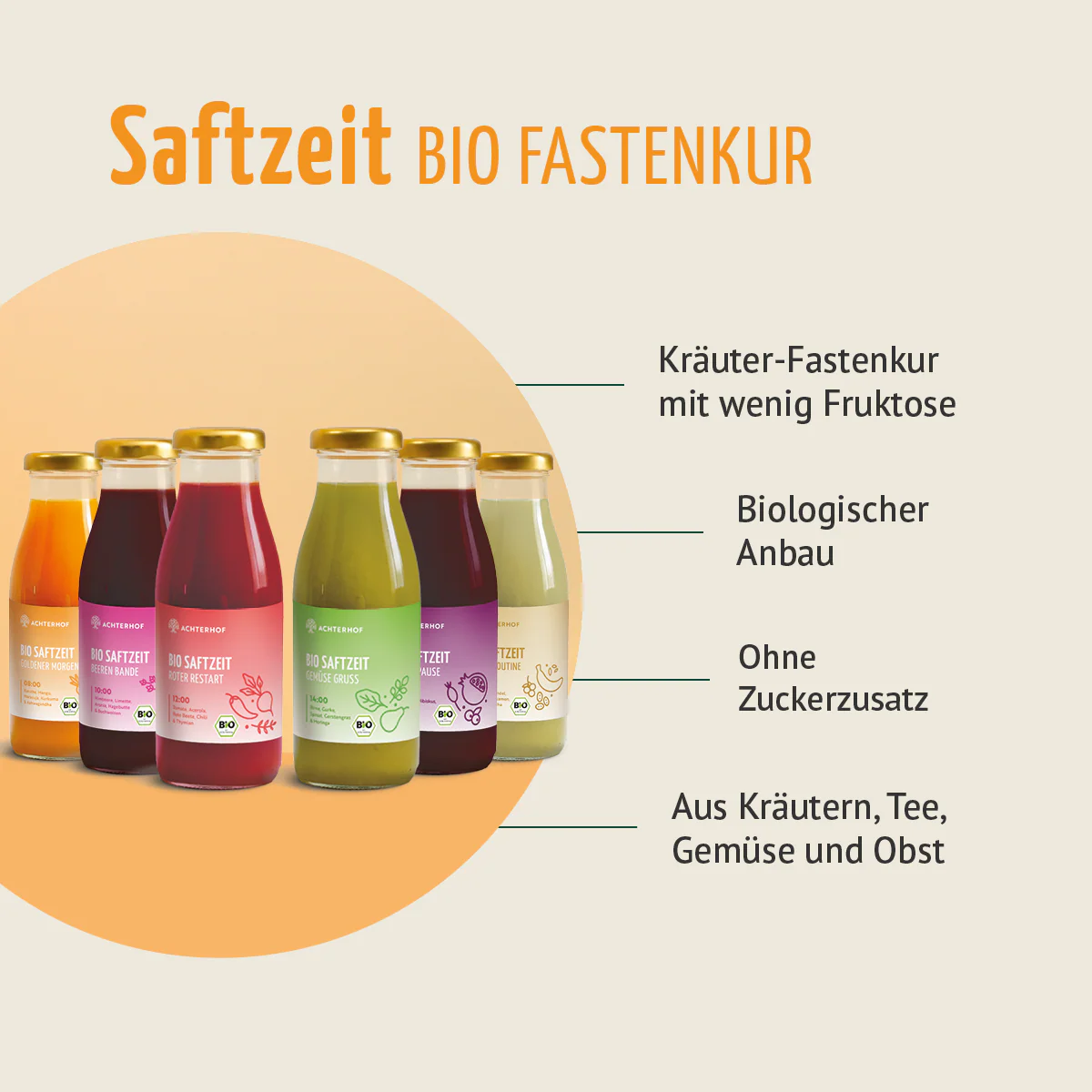 Fasten Mikronährstoff Paket - Image 2