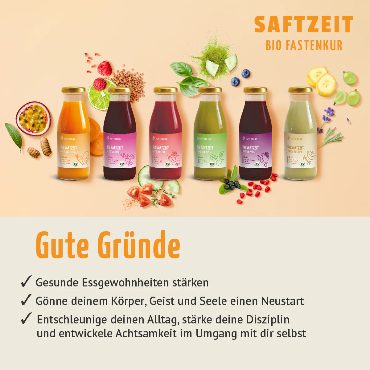 Fasten Mikronährstoff Paket - Image 3