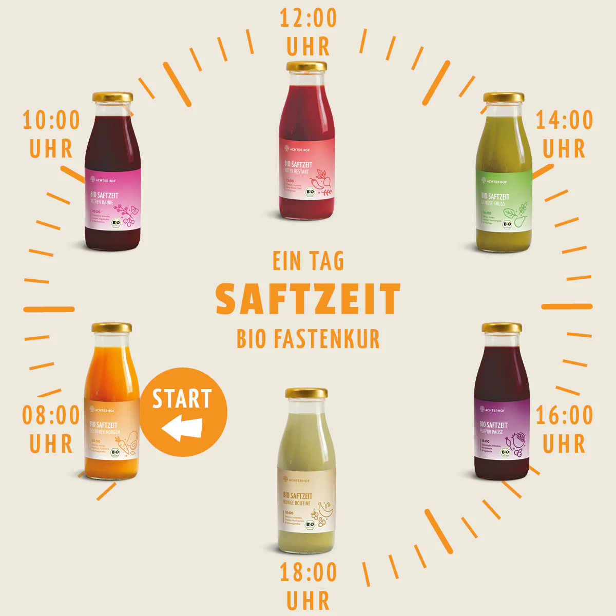 Fasten Mikronährstoff Paket - Image 4