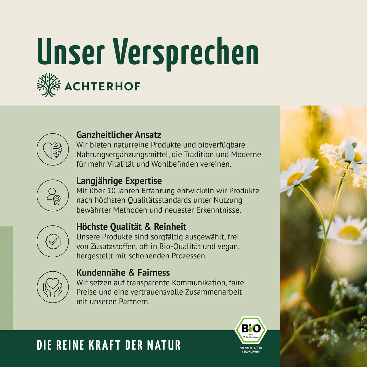 Kräuterwunder Bio Fastenkur 1-7 Tage (6 Flaschen pro Tag) - Image 14