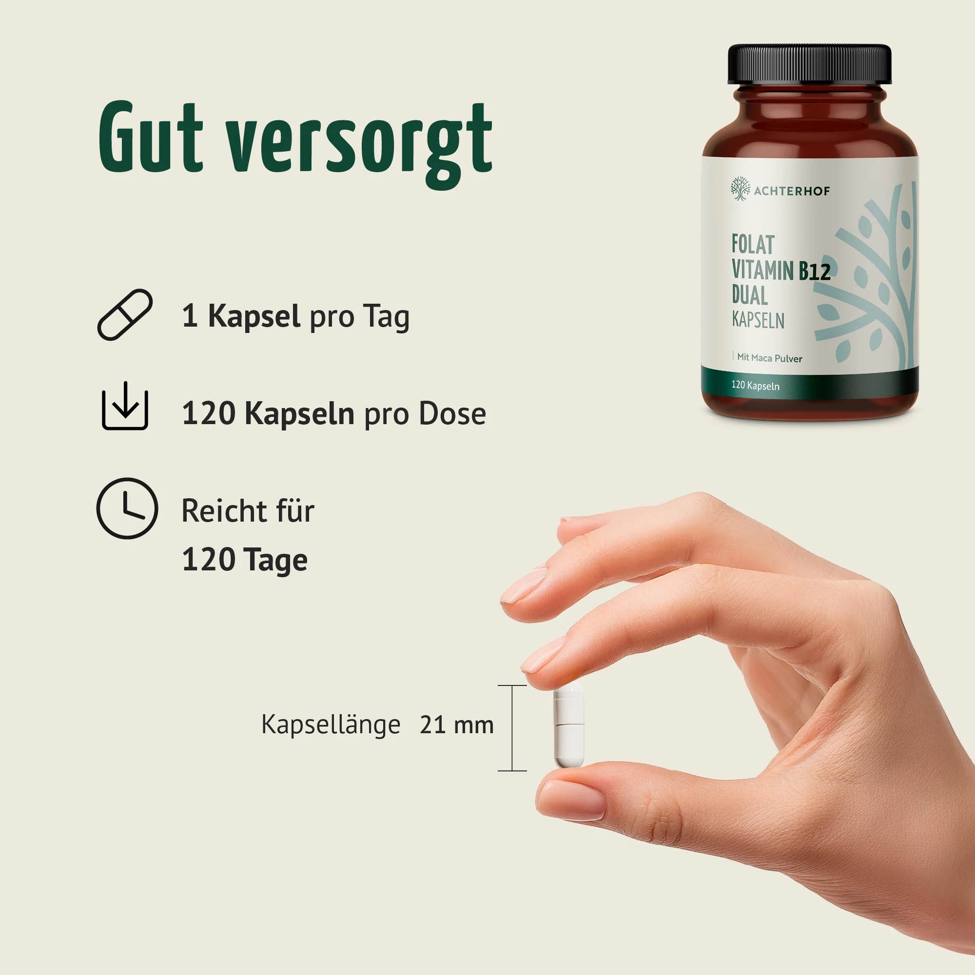 Folat Vitamin B12 Dual Kapseln (120 Kapseln) - Image 4