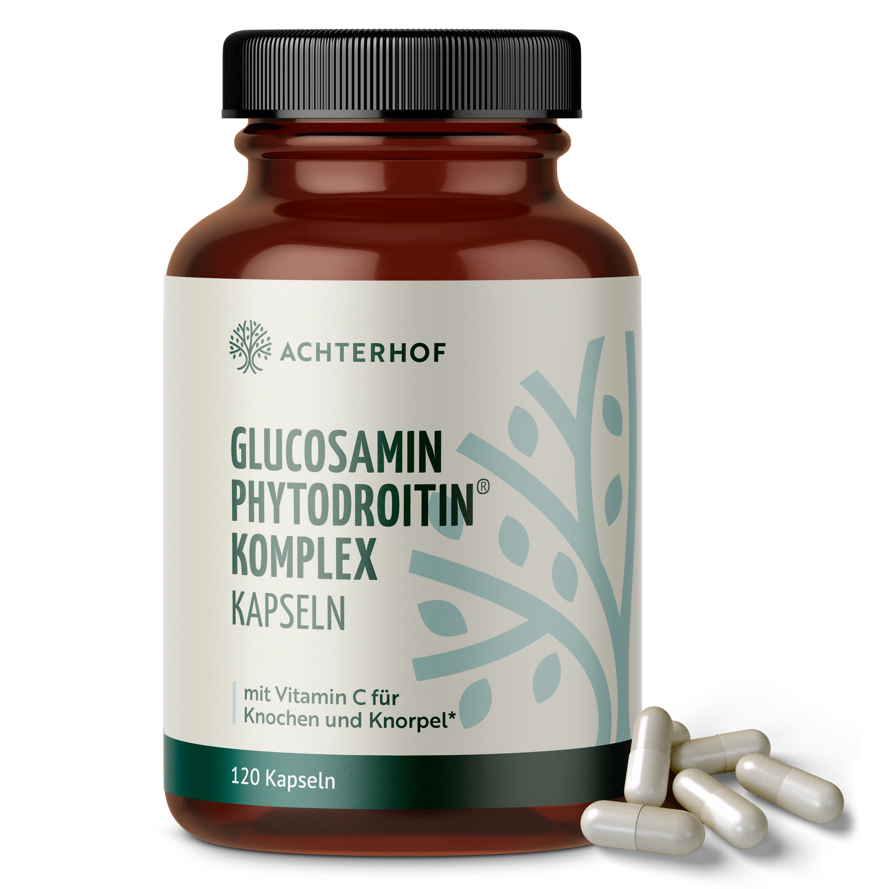 Glucosamin Phytodroitin® Komplex (120 Kapseln)
