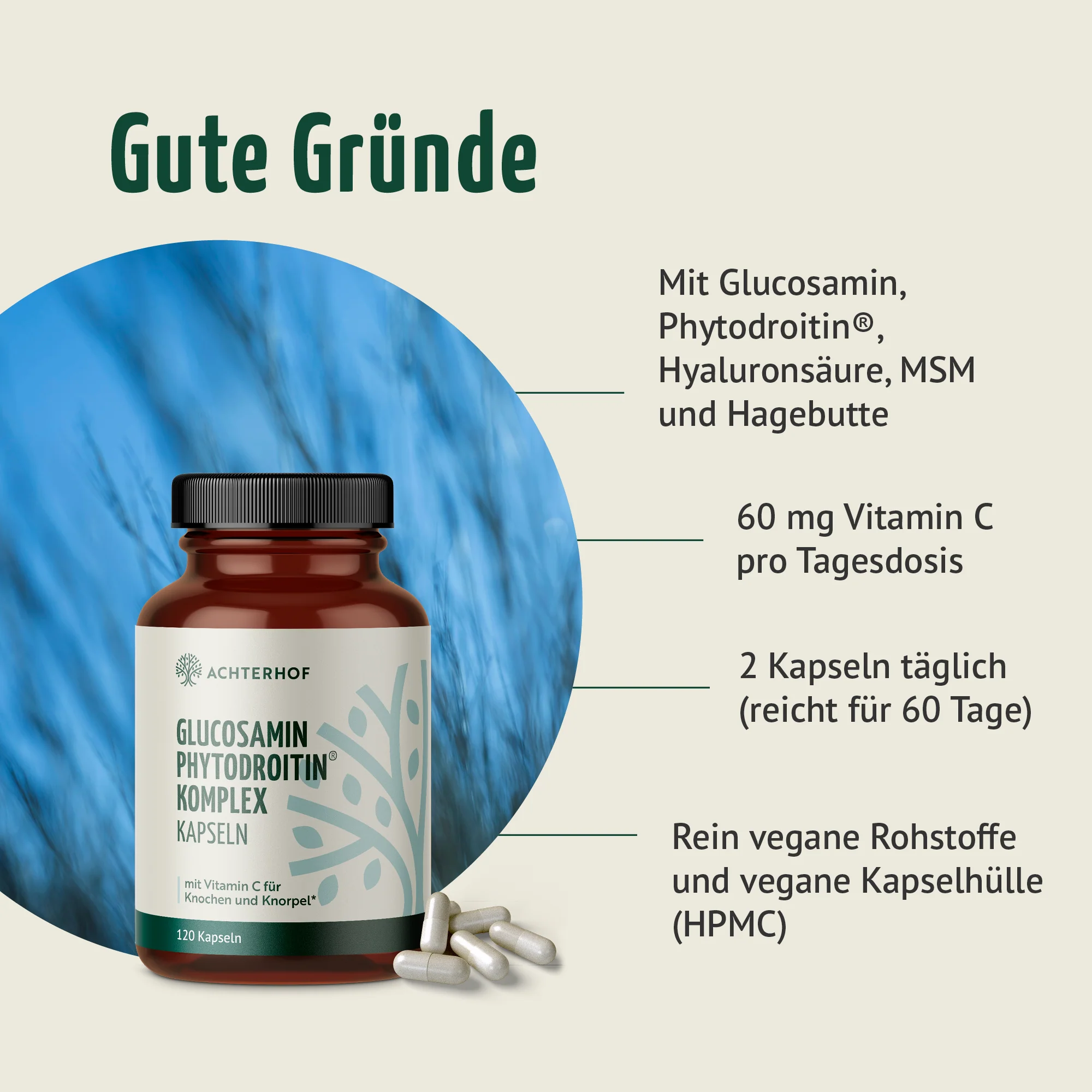 Glucosamin Phytodroitin® Komplex (120 Kapseln) - Image 2