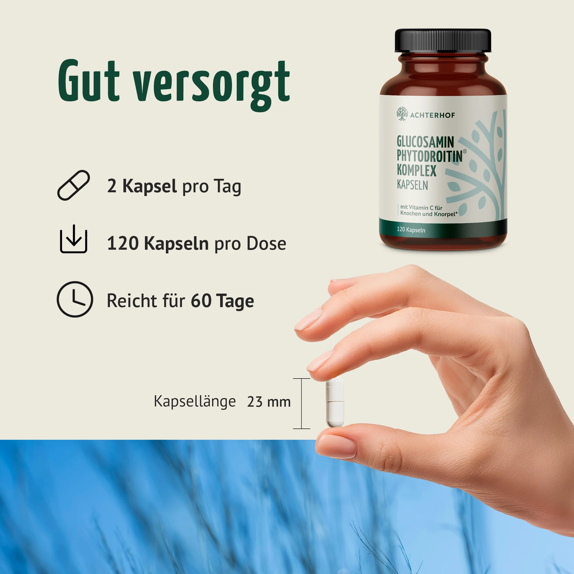 Glucosamin Phytodroitin® Komplex (120 Kapseln) - Image 4