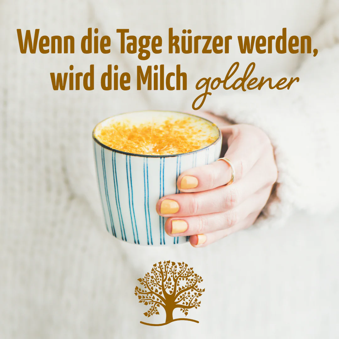 Goldene Milch Mischung 3er Bio Set + Frischhaltedosen - Image 3