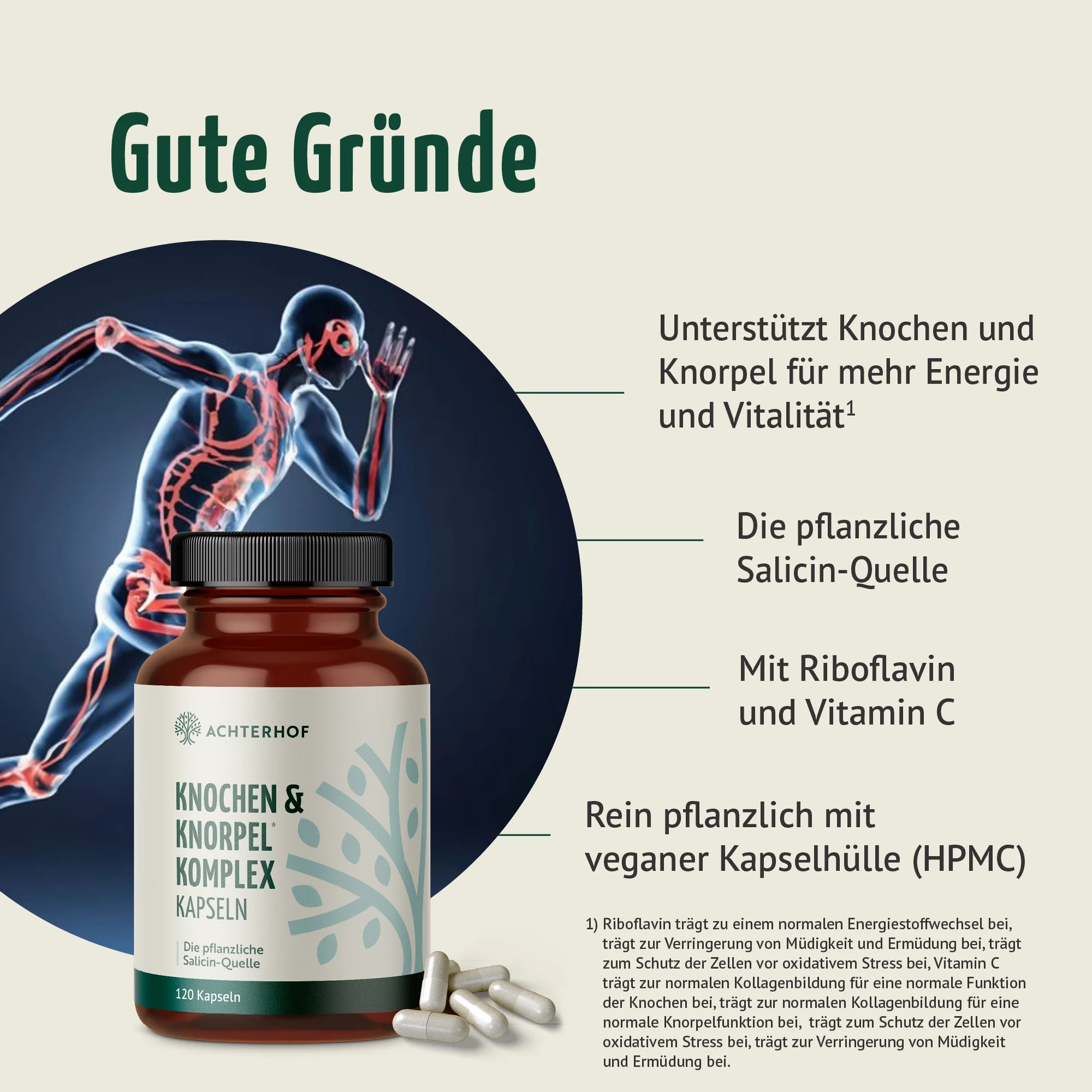 Knochen & Knorpel Komplex (120 Kapseln) - Image 2