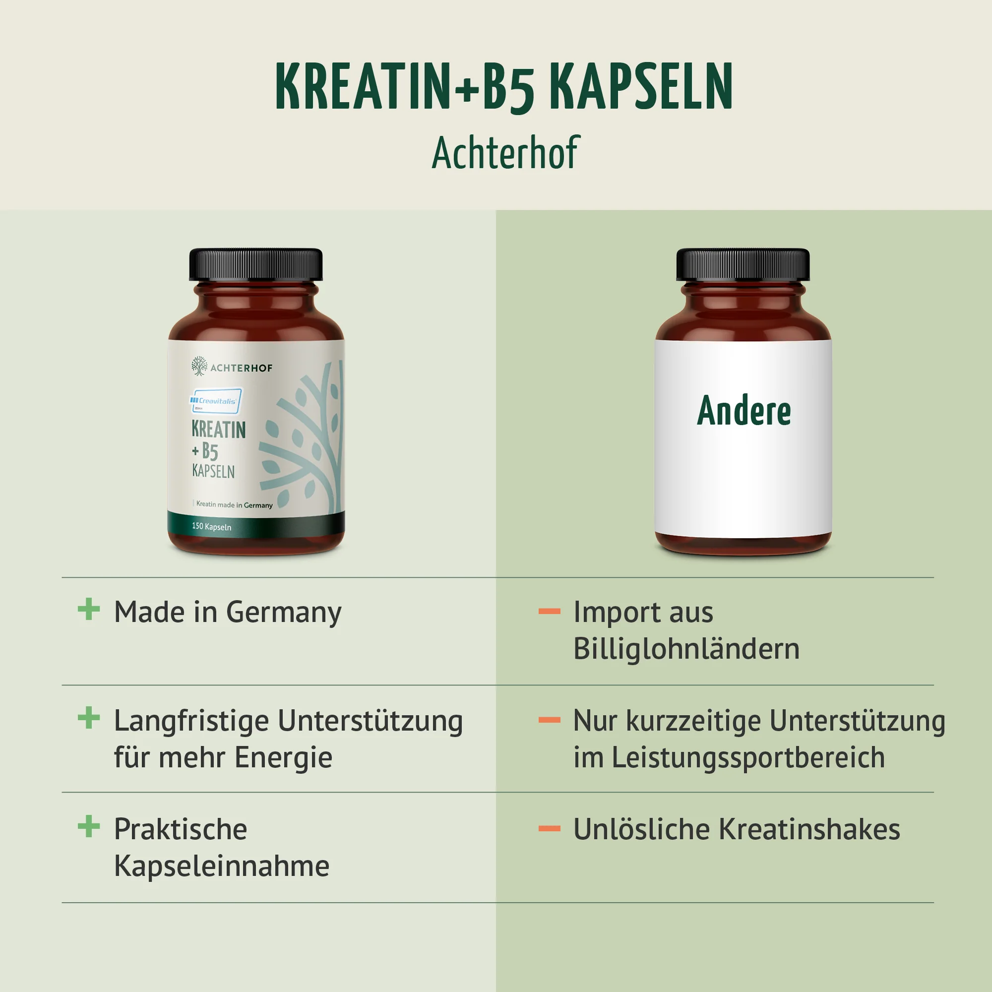 Creavitalis® Kreatin+B5 Kapseln (150 Kapseln) - Image 5