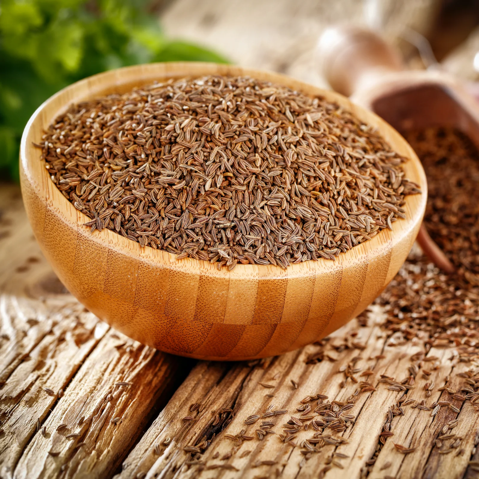 Kümmelsamen ganz Bio (250g) - Image 5