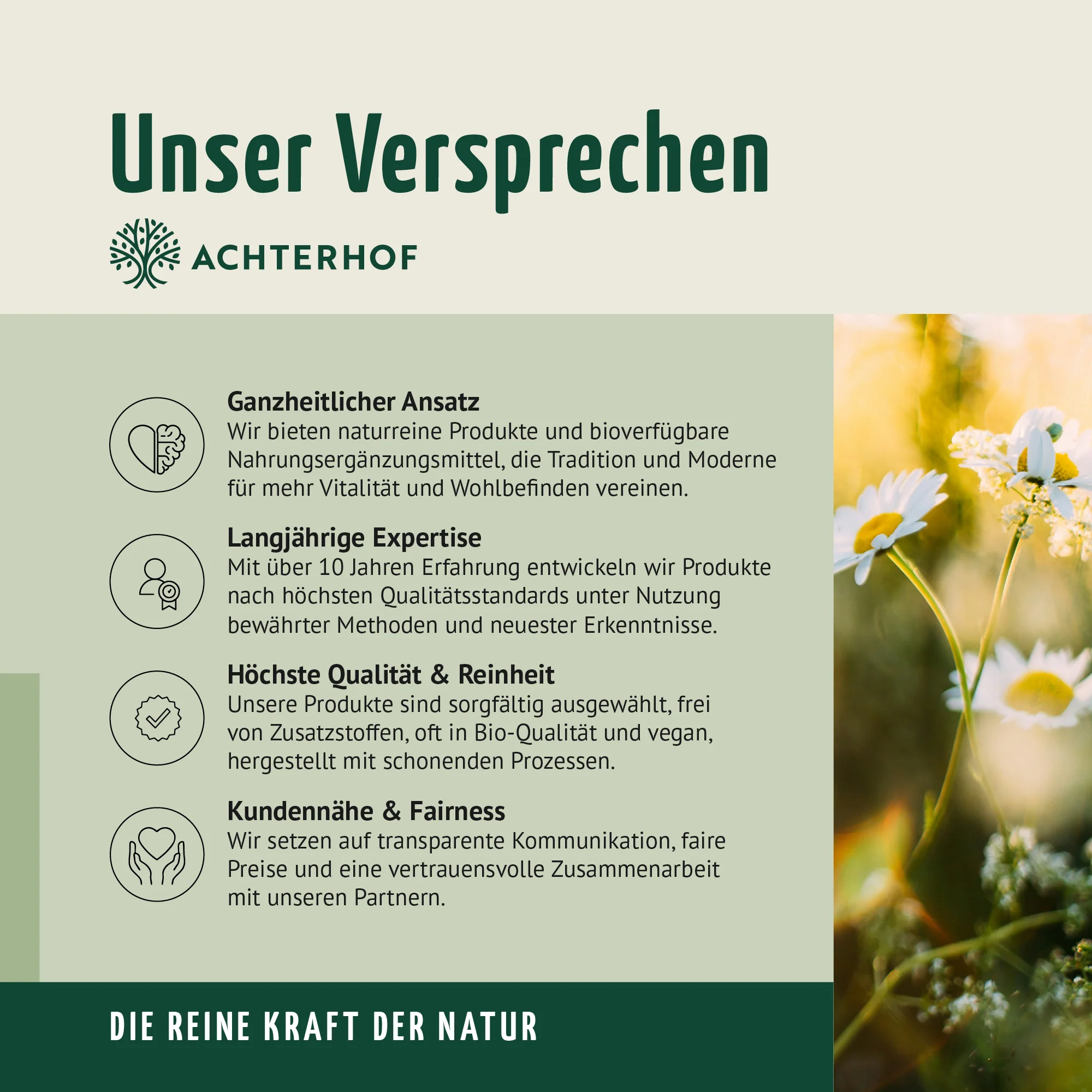 Magnesium & Vitamin C Drink Tabs (20 Tabletten) - Image 6