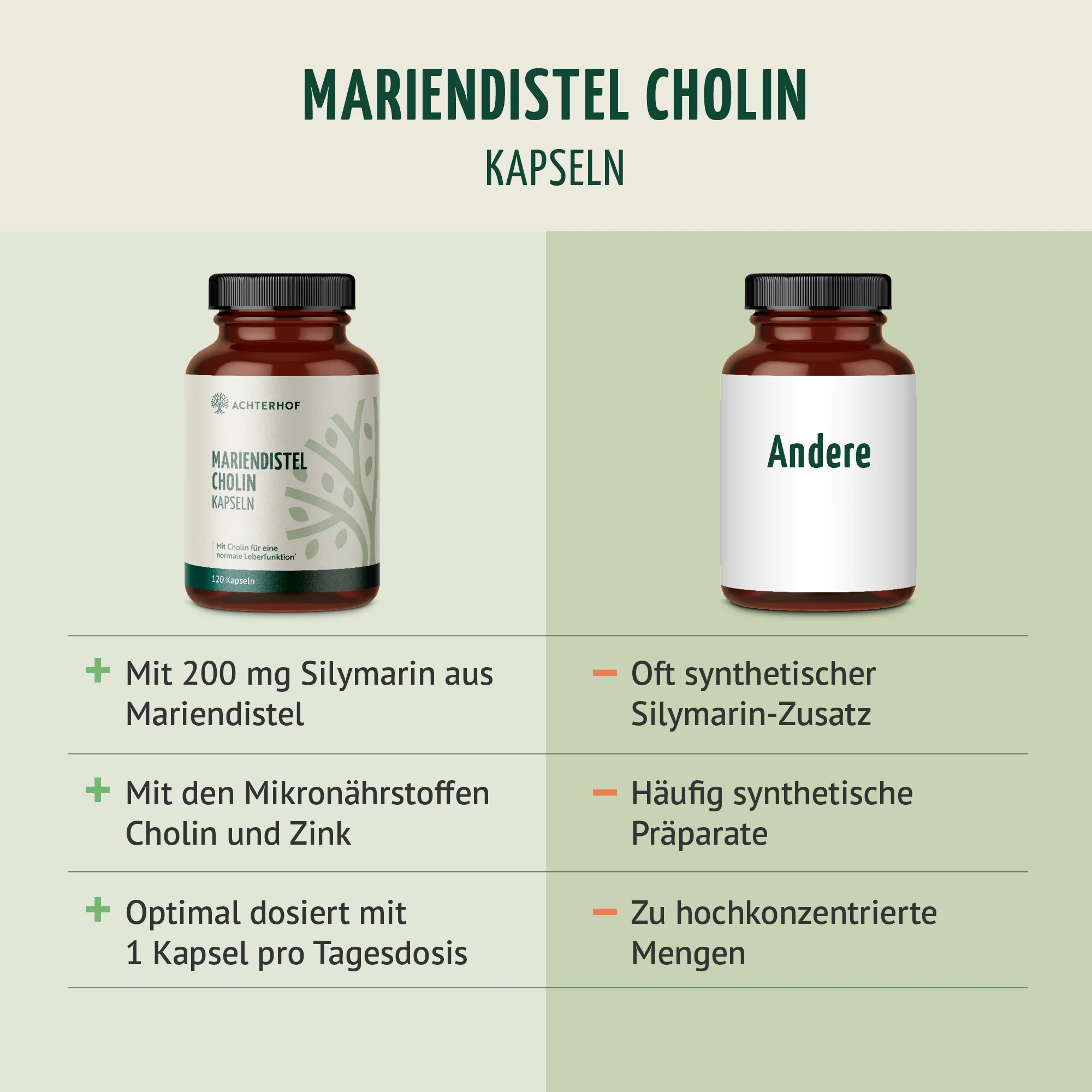 Mariendistel Cholin Kapseln (120 Kapseln) - Image 5