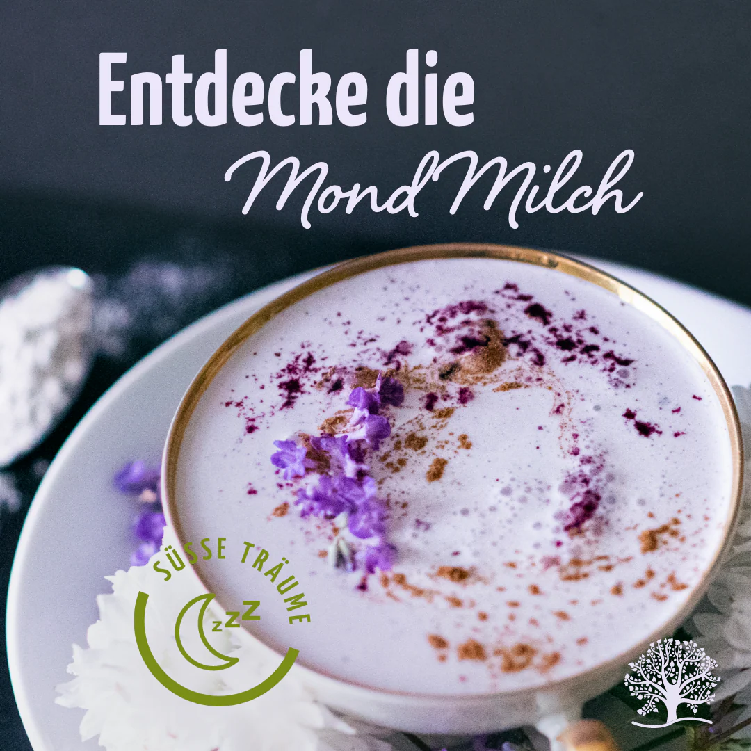 Mond Milch Mischung 3er Bio Set + Frischhaltedosen - Image 2