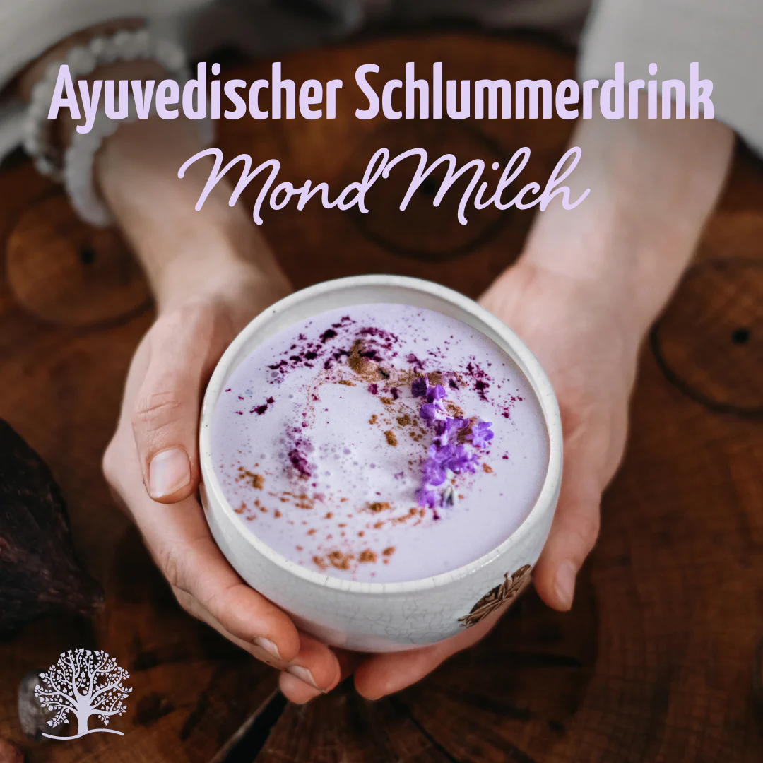 Mond Milch Mischung 3er Bio Set + Frischhaltedosen - Image 4