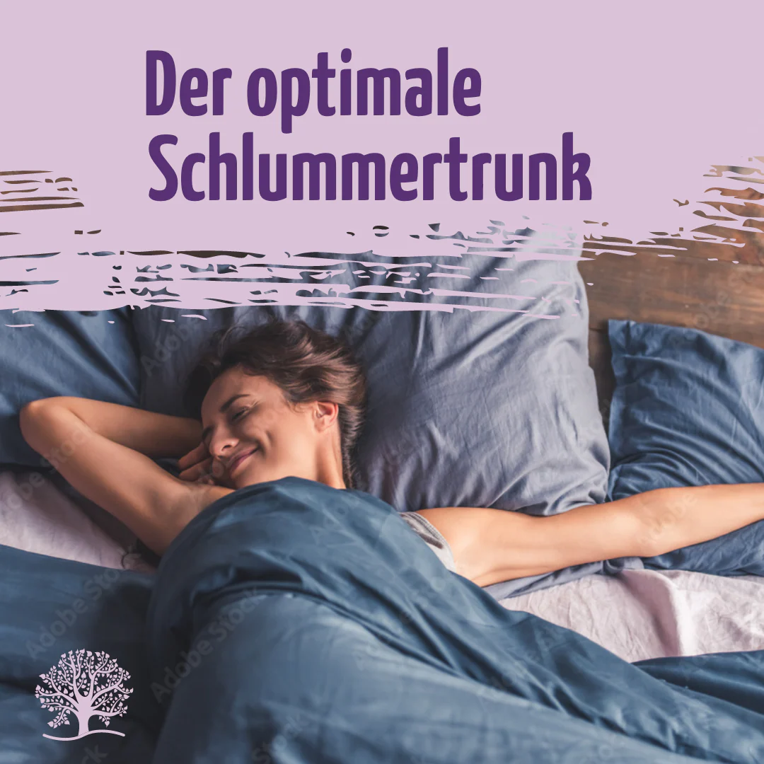 Mond Milch Mischung 3er Bio Set + Frischhaltedosen - Image 5