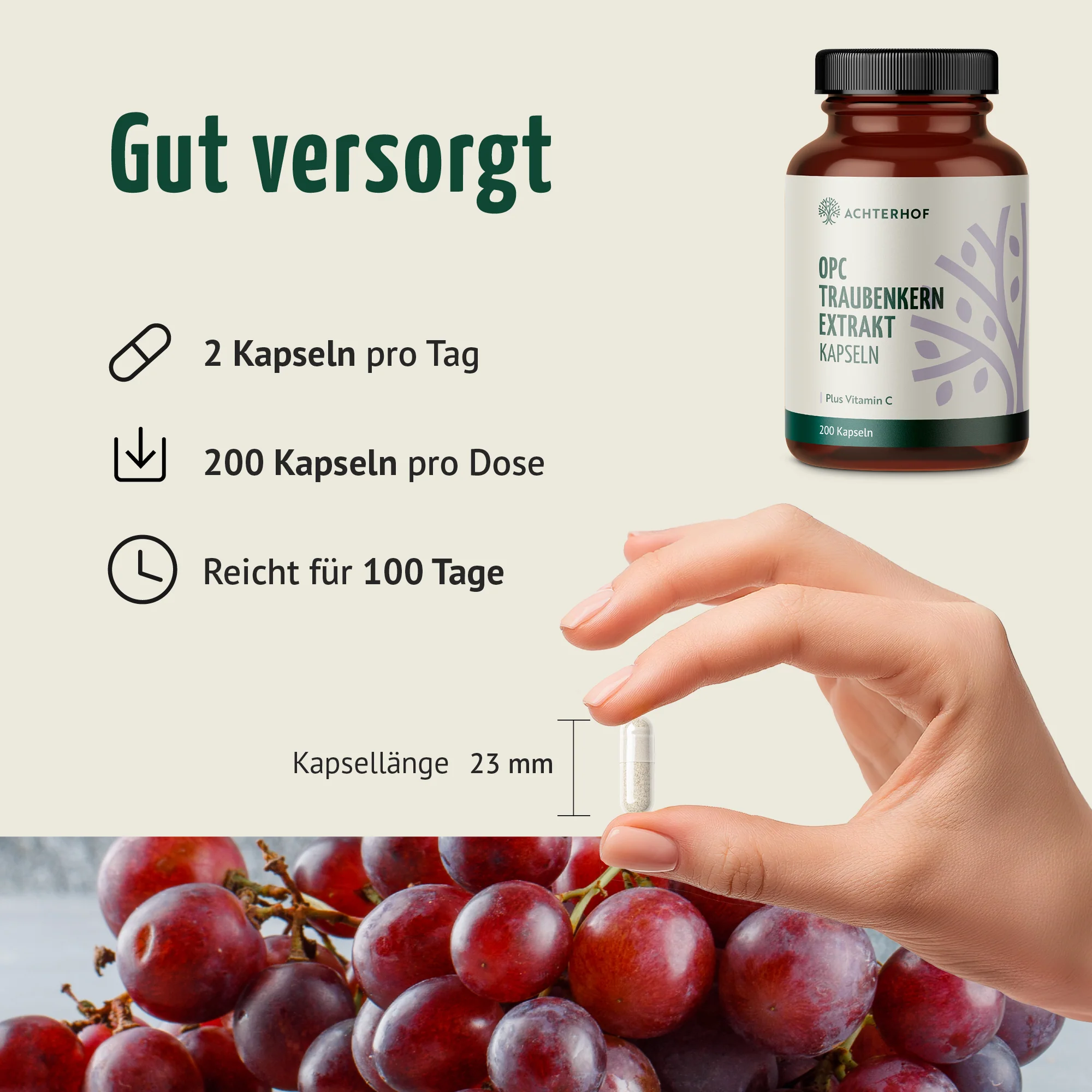 OPC Traubenkernextrakt + Vitamin C Kapseln (200 Kapseln) - Image 4