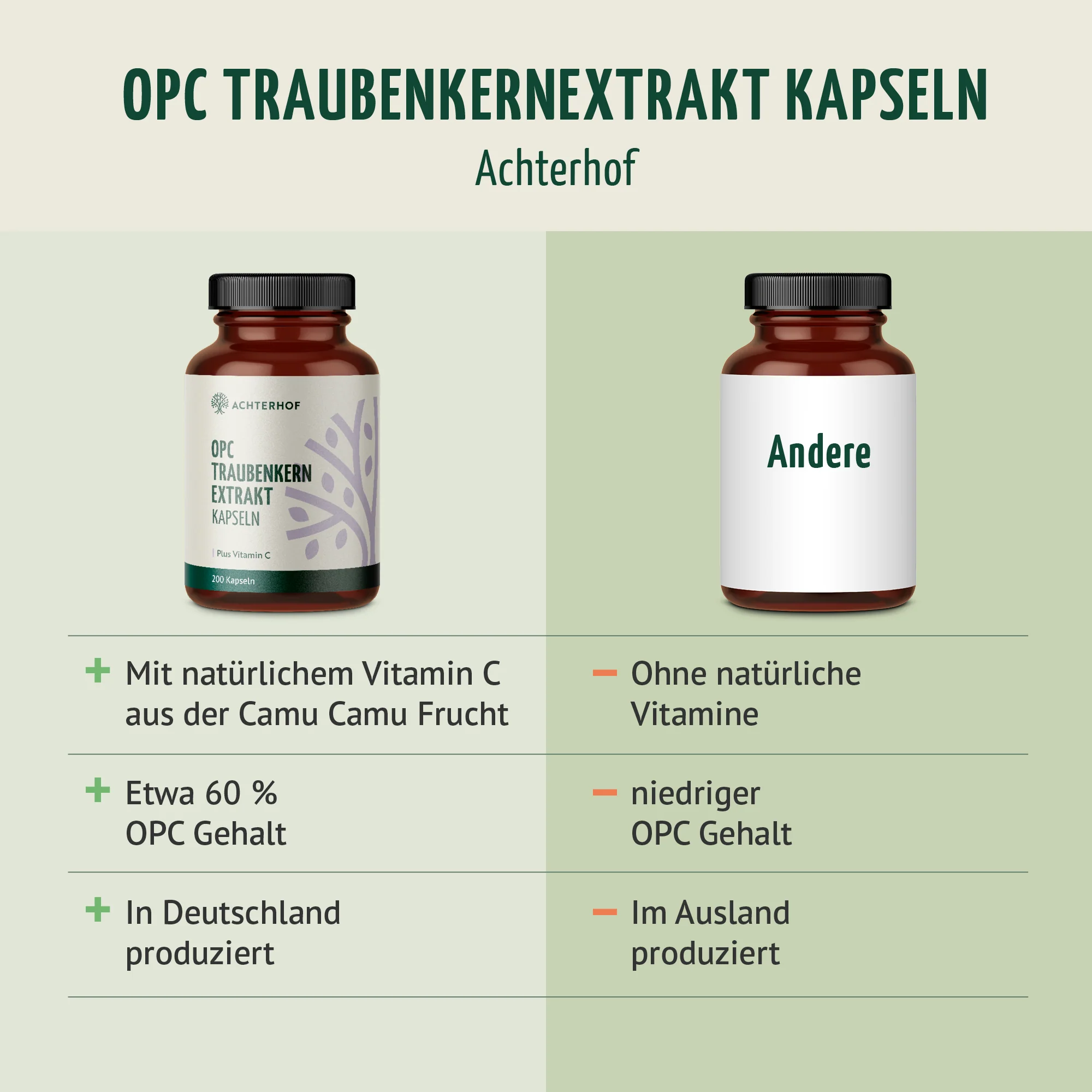OPC Traubenkernextrakt + Vitamin C Kapseln (200 Kapseln) - Image 5