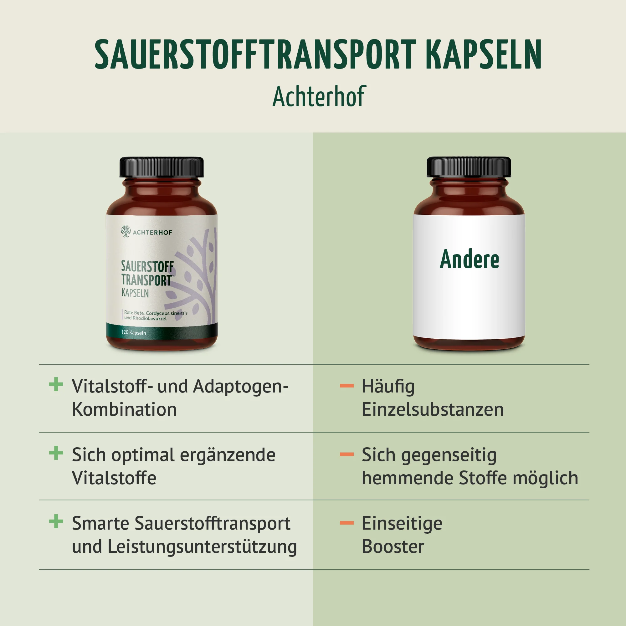 Sauerstoff Transport Kapseln (120 Kapseln) - Image 5