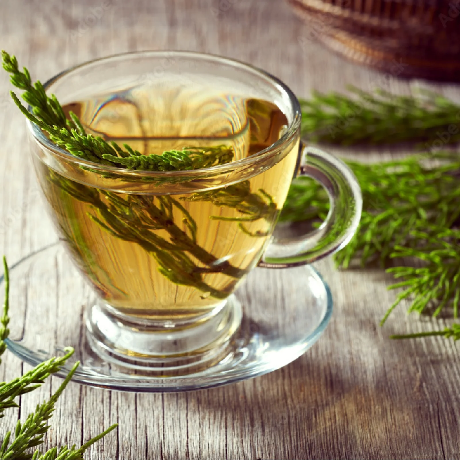 Schachtelhalmkraut geschnitten (500g) - Image 5