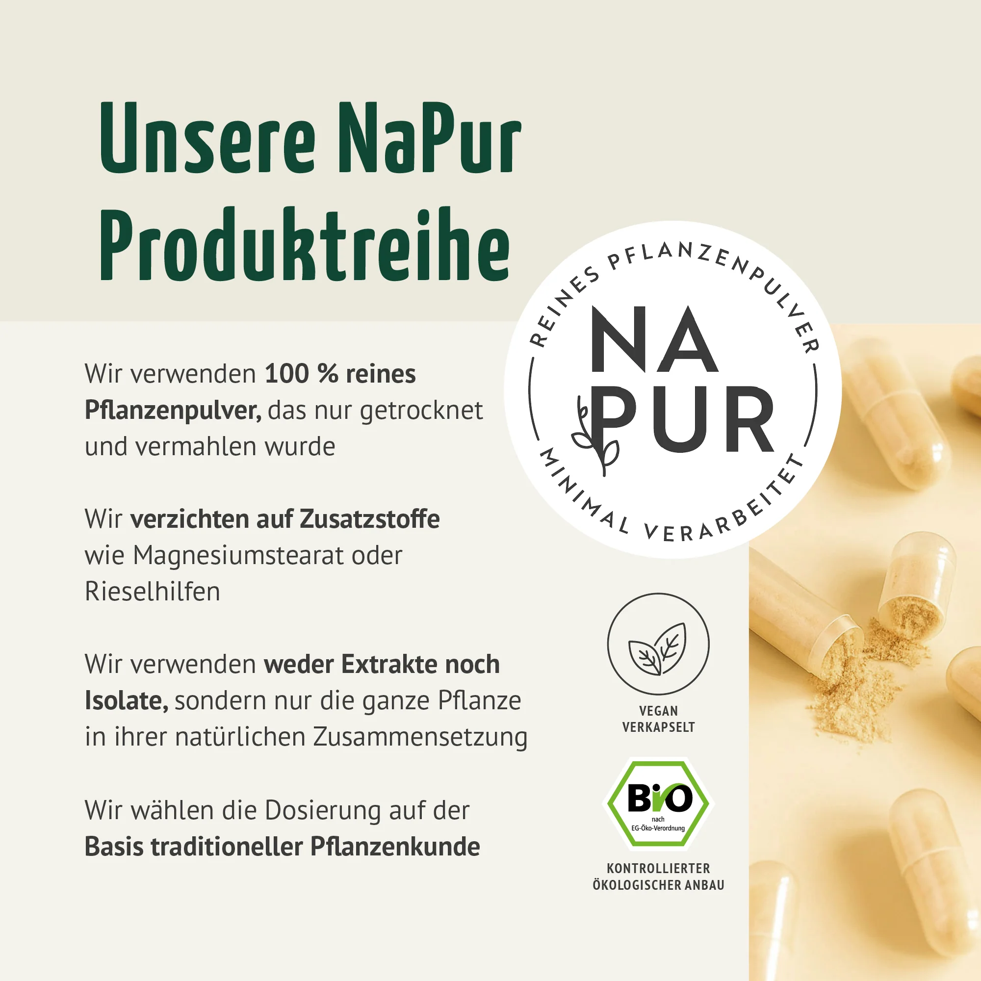 Bio Shatavari Kapseln Nachfüllpack (400 Kapseln) - Image 2