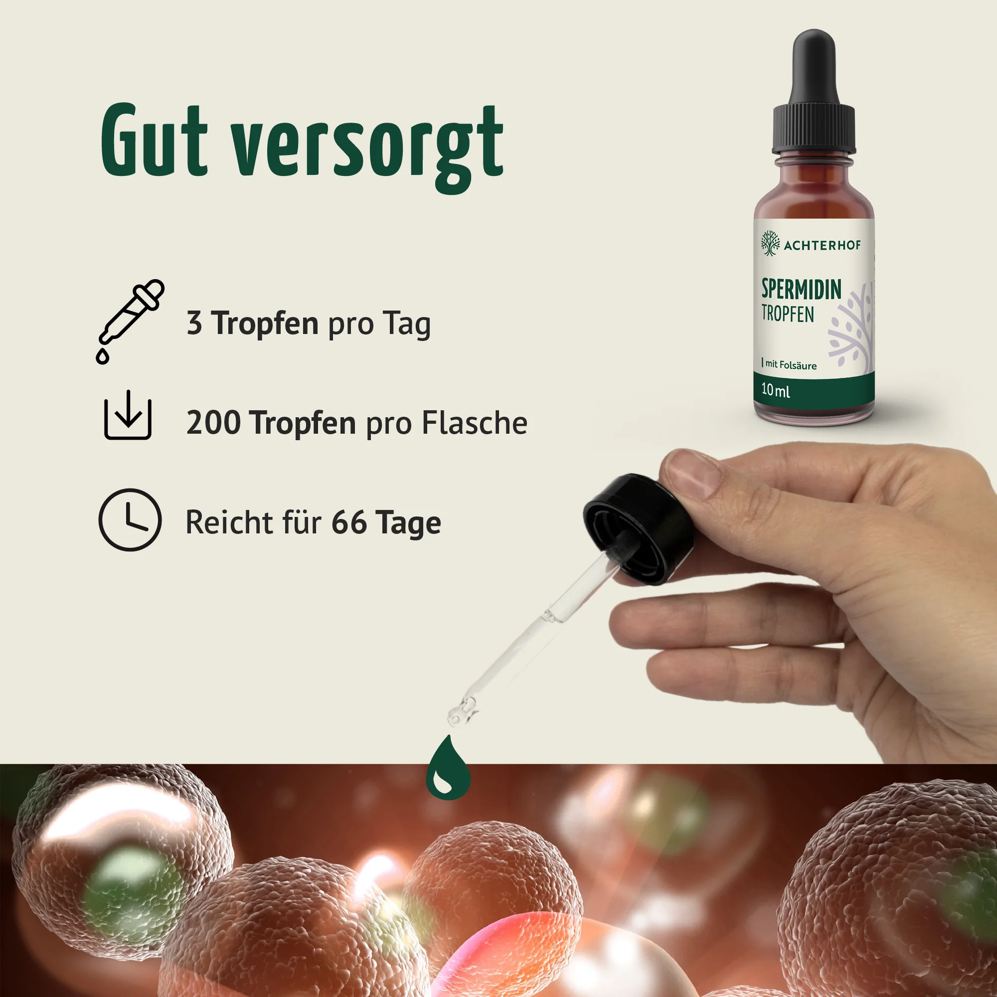 Spermidin B9 Tropfen (10ml) - Image 4