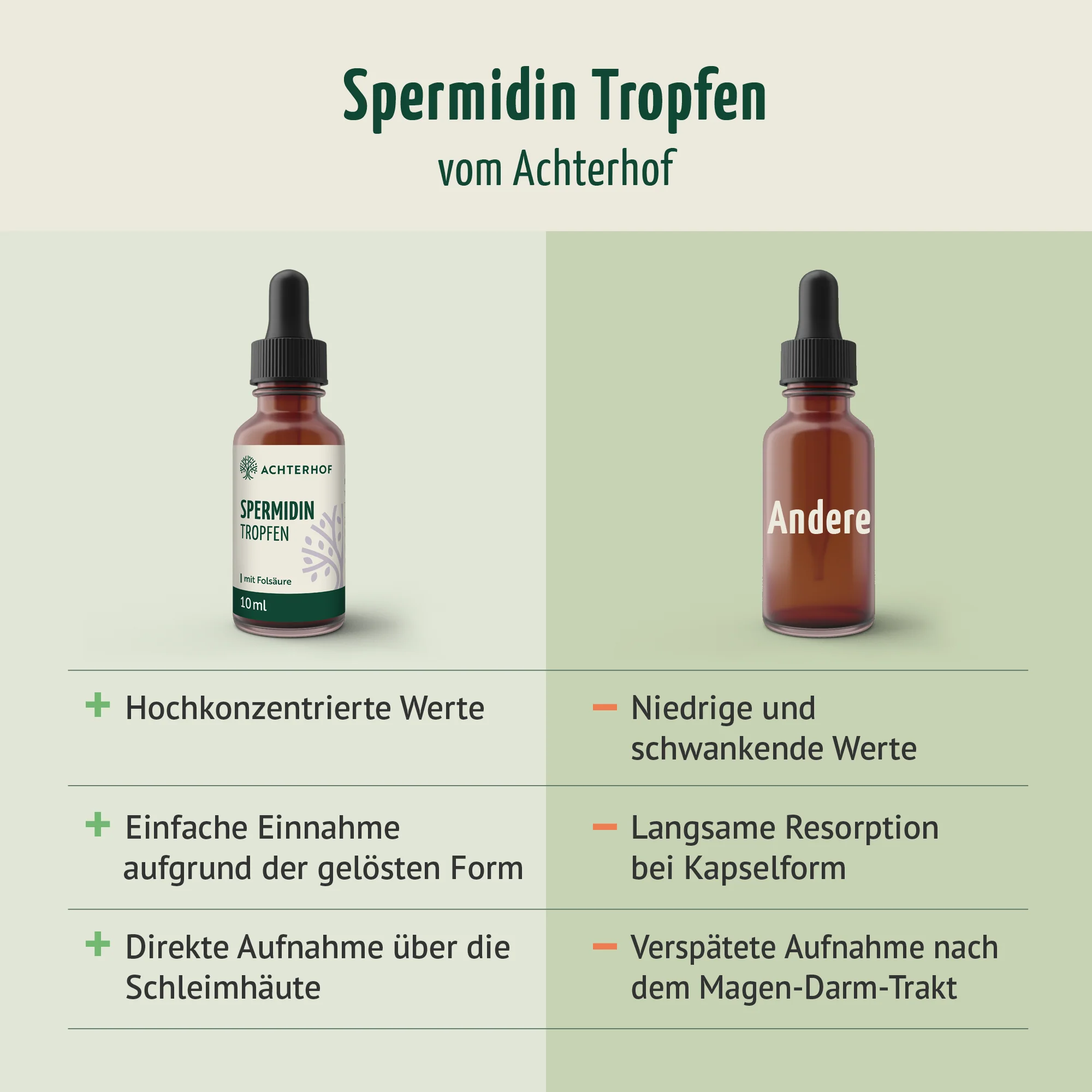 Spermidin B9 Tropfen (10ml) - Image 5